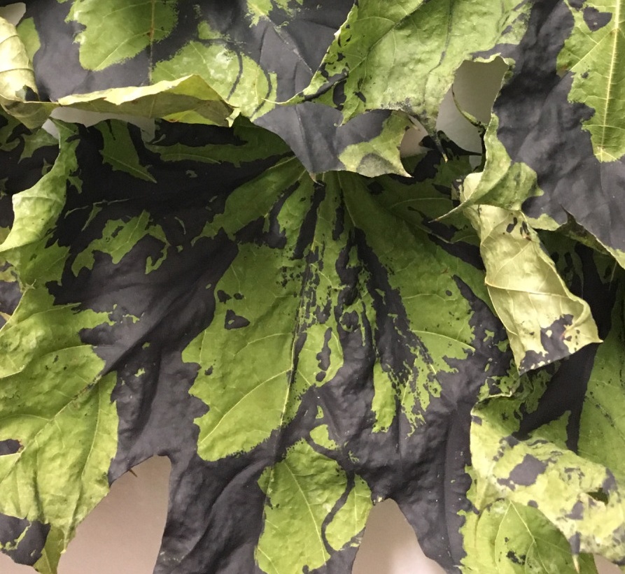 Kelly_Susan_PrintedLeaves_Detail3